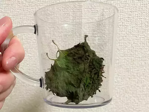 大葉は刻まず『砕く』！　電子レンジに3分入れるアイディアに「カリカリ食感」「大量消費にいい」