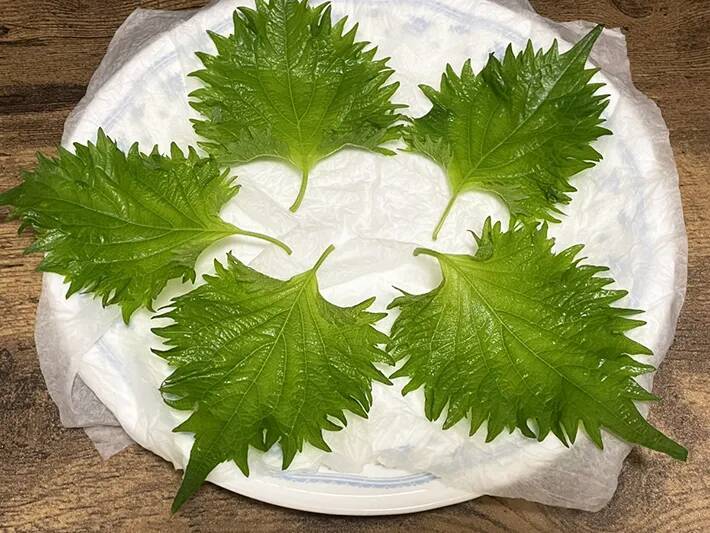 大葉は刻まず『砕く』！　電子レンジに3分入れるアイディアに「カリカリ食感」「大量消費にいい」