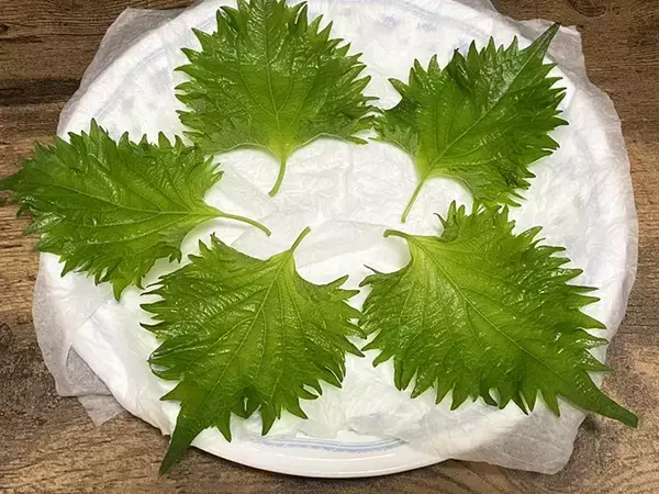 「大葉は刻まず『砕く』！　電子レンジに3分入れるアイディアに「カリカリ食感」「大量消費にいい」」の画像