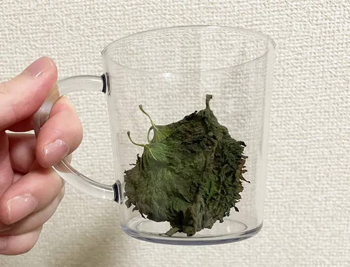 大葉は刻まず『砕く』！　電子レンジに3分入れるアイディアに「カリカリ食感」「大量消費にいい」