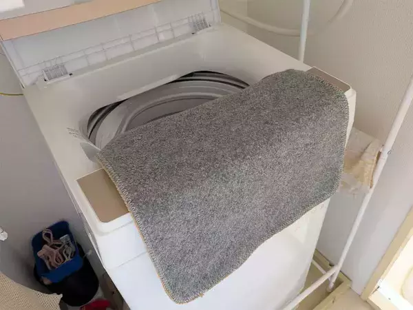 下着と玄関マット、一緒に洗うと不衛生？　洗濯のプロの「気になる答え」は…