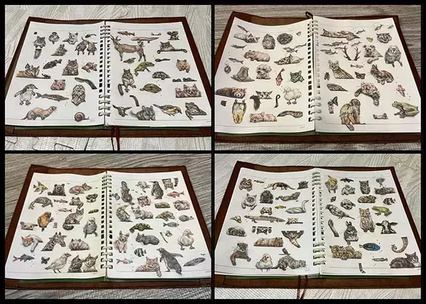 「バズから５年、『現在の記録』に１９万人が驚愕　「軽い気持ちで参加したのに…」」の画像