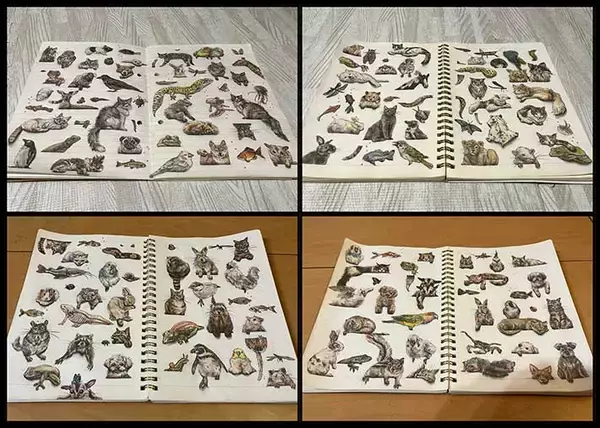 「バズから５年、『現在の記録』に１９万人が驚愕　「軽い気持ちで参加したのに…」」の画像