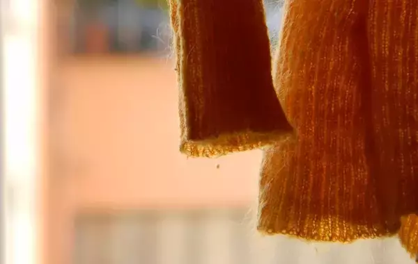 「防虫剤を入れる前に…　大切な服をニオイ・虫食いから守る、プロ直伝の衣替え」の画像