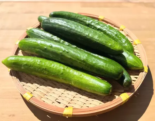 「お湯へ30秒くぐらせてみて！　キュウリの下処理テクに「これは正解」【下処理テク4選】」の画像