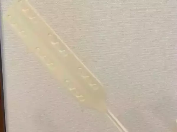 隙間掃除の効率アップ！　100円アイテムの組み合わせに「使いやすい」「快適」