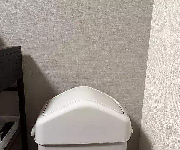 「トイレにつっぱり棒を2本設置　収納増やす『ダイソー』アイテムが手頃で便利！」の画像