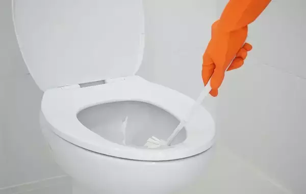 「使ったトイレブラシ、濡れたままにしてない？　ジョンソンが教える『正しい保管方法』」の画像