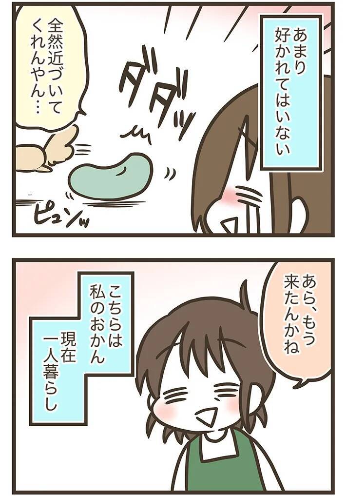実家のチワワに好かれていない！？　三女とチワワの何気ない交流がクスッと笑える【漫画連載】