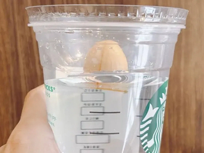 スタバのカップに『アボカドの種』をはめて？　「これは簡単」「初心者でもできそう！」