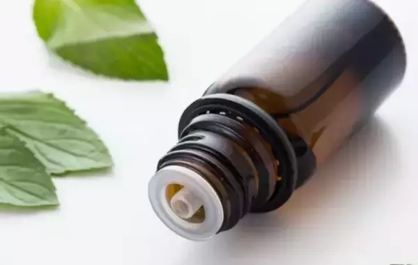 「侵入も卵も防げる！　家庭でできるゴキブリ対策に「安心の知恵」「暮らし守れる」」の画像