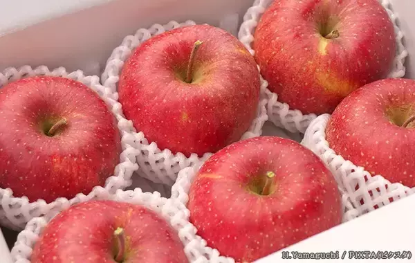 「フルーツネットはつけっぱなしでもいい？　メーカーが回答【保存時の疑問】」の画像