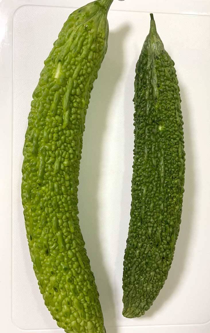 ゴーヤーの見分け方に反響 苦くないのは そうだったのか 知らなかった 22年7月25日 エキサイトニュース ゴーヤーの見分け方に反響 苦くないのは そうだったのか 知らなかった 22年7月25日 エキサイトニュース