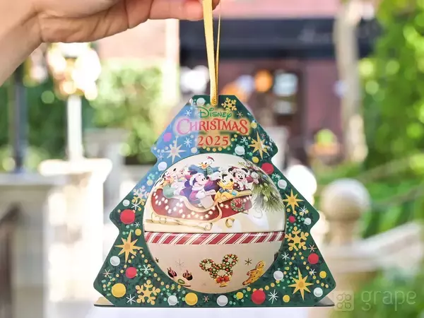 【保存版】考えた人天才じゃない！？　ディズニーマニアが教えるクリスマス限定土産