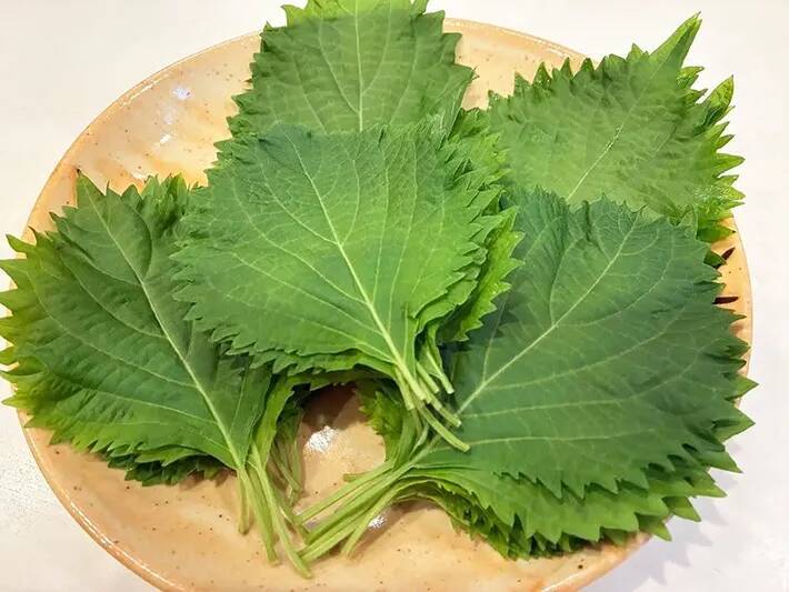 冷蔵庫に大葉、眠ってない？　大量消費に最適な『大葉どっさりみそ』でご飯おかわり！