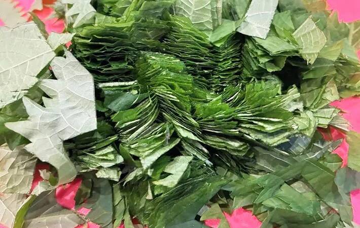 冷蔵庫に大葉、眠ってない？　大量消費に最適な『大葉どっさりみそ』でご飯おかわり！
