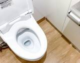 「トイレ掃除は家にあるものでOK！　時短でピカピカにする方法とは？」の画像2