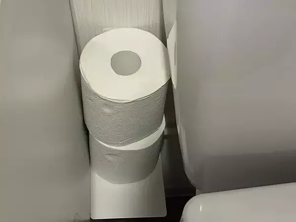 「トイレのデッドスペースに『浮かせる収納』　100均アイテム2種を生かすと「手間が減った！」」の画像