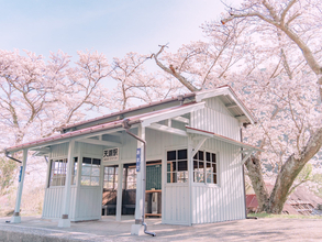 どこか懐かしい『日本の春』　４枚の写真に「自然と涙が出る」「素敵！」