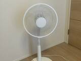 「『扇風機をつけたまま寝ると身体に悪い』は本当？　医師に聞いた「注意したい使い方」」の画像1