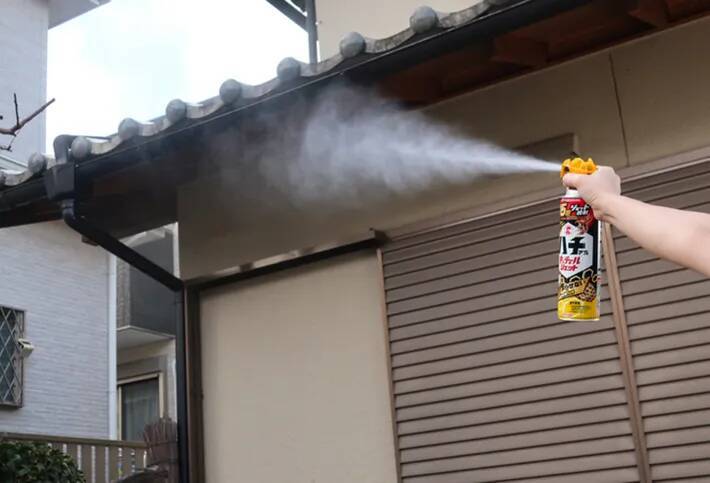 家にできたハチの巣、自分で取る前に？　KINCHOに聞いた注意点