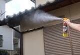「家にできたハチの巣、自分で取る前に？　KINCHOに聞いた注意点」の画像2