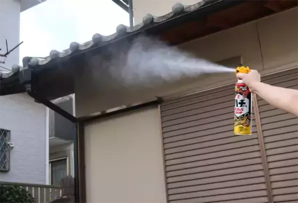 「家にできたハチの巣、自分で取る前に？　KINCHOに聞いた注意点」の画像