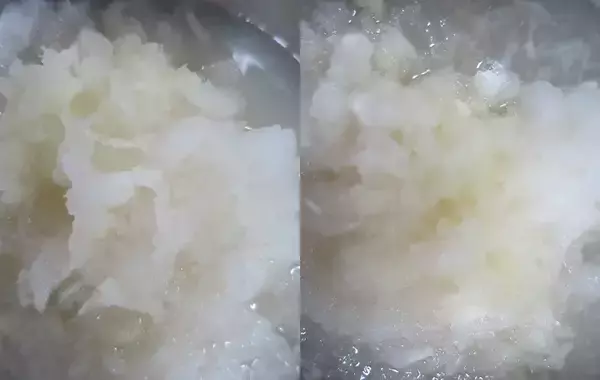 「大根おろし器はどのタイプがいいのか　7つのタイプを検証した」の画像