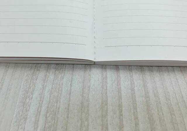 100均の域を超えた？　『ダイソー』のノートで字を書くのが楽しくなる