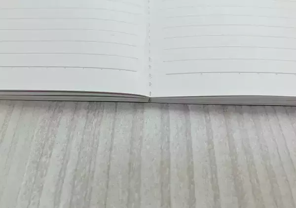 「100均の域を超えた？　『ダイソー』のノートで字を書くのが楽しくなる」の画像