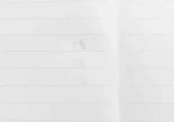 「100均の域を超えた？　『ダイソー』のノートで字を書くのが楽しくなる」の画像