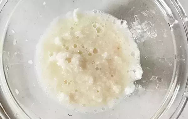 「千切りキャベツを湯通しして？　春巻き“たこ焼き風”アレンジ【作り方】」の画像