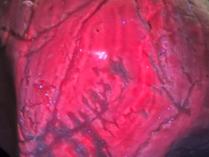 海岸に流れ着いた、重たい石　ライトを照らしたら…？「なんだこれ！」「初めて見た」