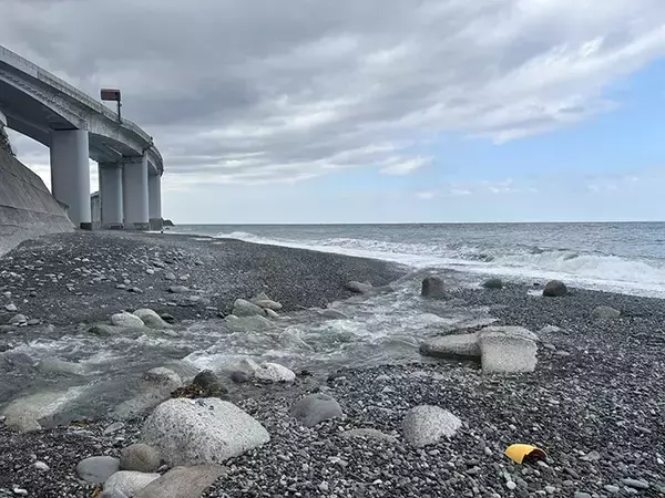 「海岸に流れ着いた、重たい石　ライトを照らしたら…？「なんだこれ！」「初めて見た」」の画像