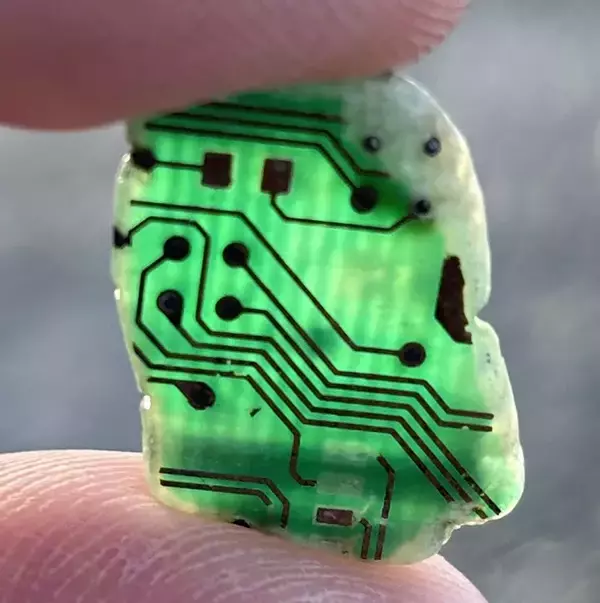 「海岸に流れ着いた、重たい石　ライトを照らしたら…？「なんだこれ！」「初めて見た」」の画像