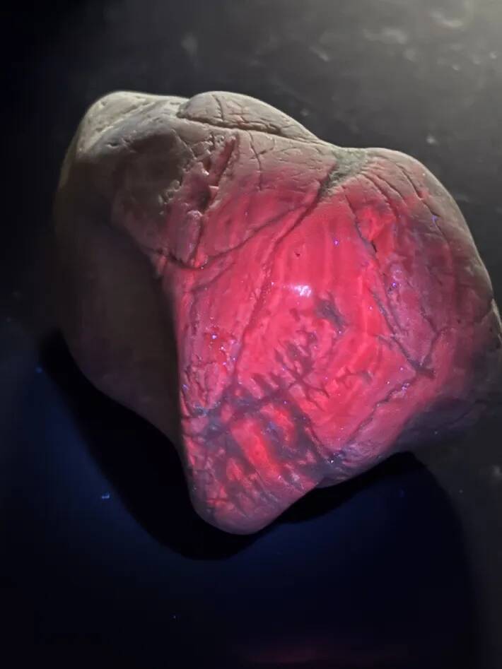 海岸に流れ着いた、重たい石　ライトを照らしたら…？「なんだこれ！」「初めて見た」