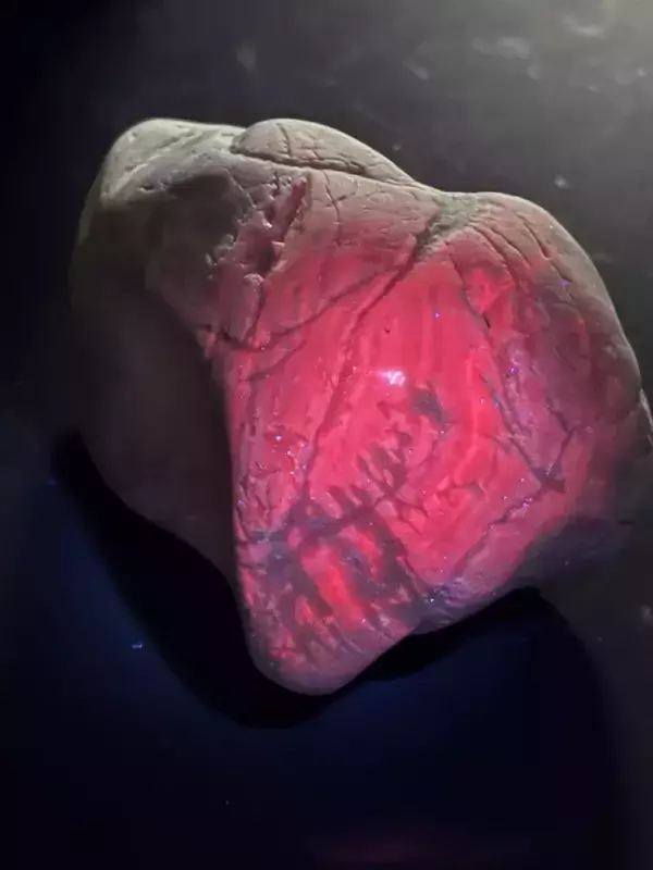 「海岸に流れ着いた、重たい石　ライトを照らしたら…？「なんだこれ！」「初めて見た」」の画像