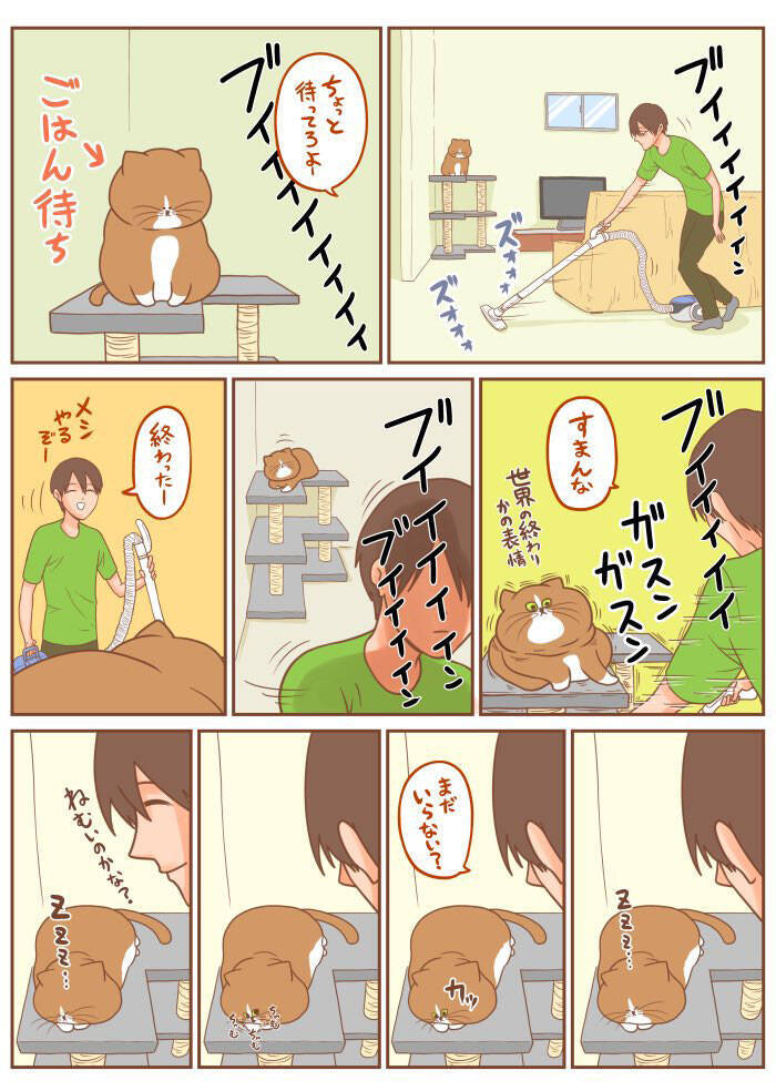 飼い主 ほのぼの漫画に憧れている アグレッシブな猫の行動に困惑 22年2月1日 エキサイトニュース