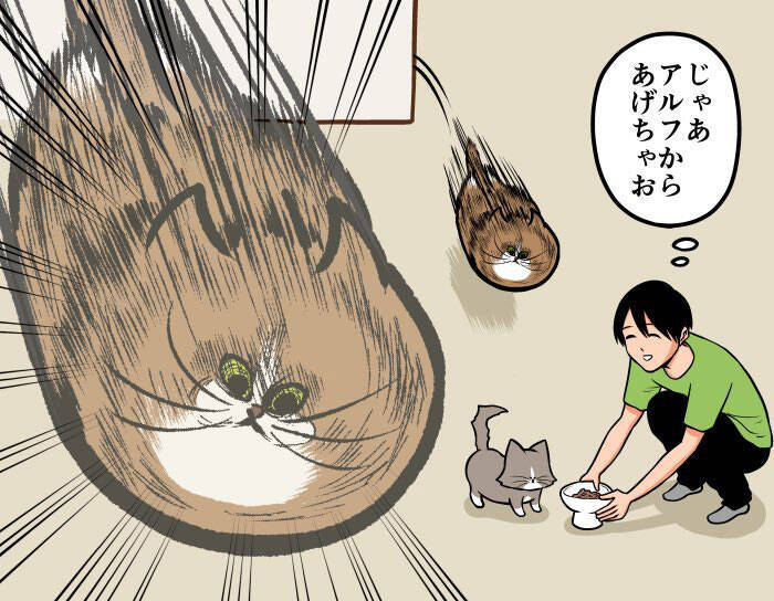 飼い主 ほのぼの漫画に憧れている アグレッシブな猫の行動に困惑 22年2月1日 エキサイトニュース