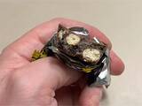 「「日本人は当たり前に食べてるの？」　アメリカ人がコンビニで何度もリピートするチョコ菓子3選！」の画像4