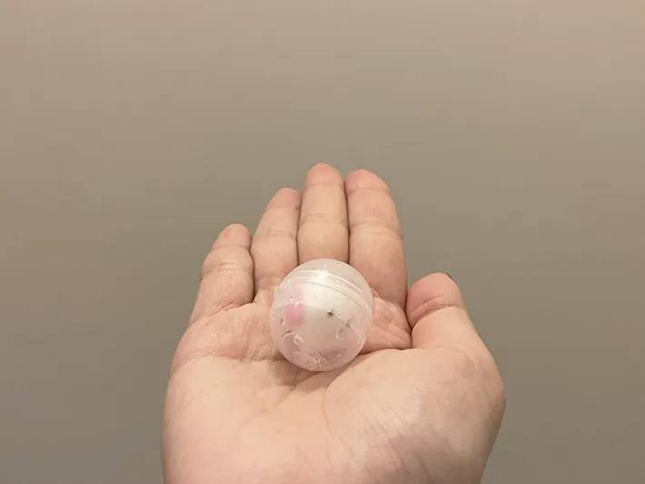 100均のバスボール、中に入っていたのは…「これは衝動買い」「かわいすぎる」