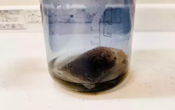 「冷蔵庫を開けたら麦茶が空っぽでガッカリ　そんな時に使える30秒で水出し麦茶を作る方法こちら！」の画像
