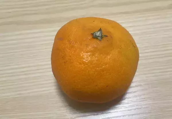 「ミカンの皮を電子レンジで加熱すると…　ご飯に合うレシピに「初めての体験」「意外とおいしい」」の画像