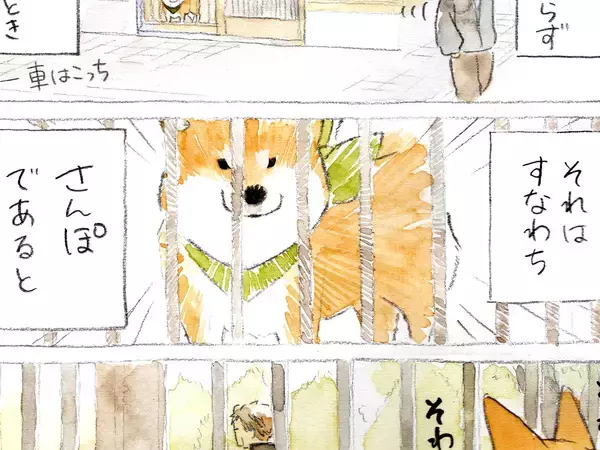 【犬あるある】散歩だと思ったら…　漫画で描く『柴犬の不満』に「すべてが愛おしい」