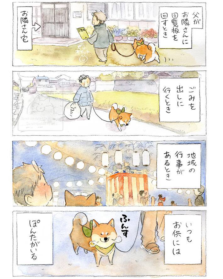 【犬あるある】散歩だと思ったら…　漫画で描く『柴犬の不満』に「すべてが愛おしい」