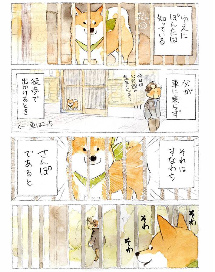 【犬あるある】散歩だと思ったら…　漫画で描く『柴犬の不満』に「すべてが愛おしい」