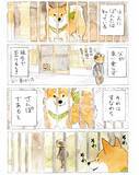 「【犬あるある】散歩だと思ったら…　漫画で描く『柴犬の不満』に「すべてが愛おしい」」の画像3