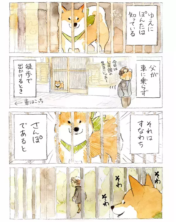 「【犬あるある】散歩だと思ったら…　漫画で描く『柴犬の不満』に「すべてが愛おしい」」の画像