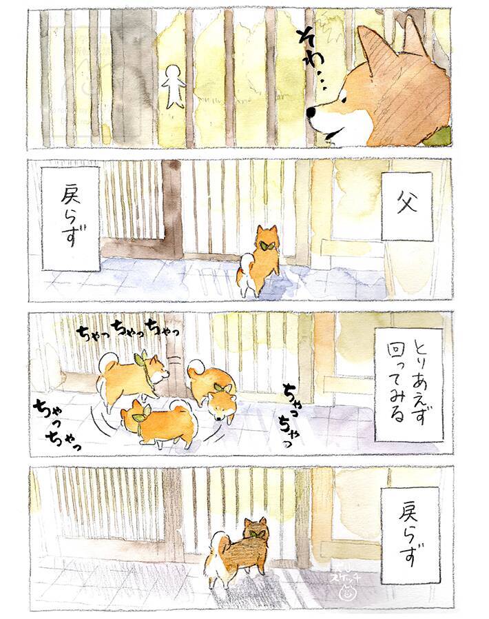 【犬あるある】散歩だと思ったら…　漫画で描く『柴犬の不満』に「すべてが愛おしい」