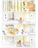 「【犬あるある】散歩だと思ったら…　漫画で描く『柴犬の不満』に「すべてが愛おしい」」の画像4